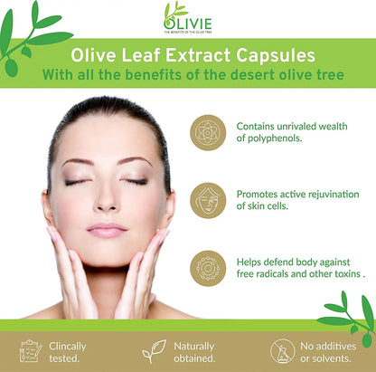 Organic Antioxidant Polyphenols Rich Olive Leaf Extract Supplement Capsules OLIVIE | Hydroxytyrosol Oleuropein anti Aging Supplement | 40 Capsules