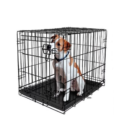 Vibrant Life Double Door Metal Wire 42&quot; Dog Crate, Leak-Proof Pan and Divider for Dogs Upto 90 Lb