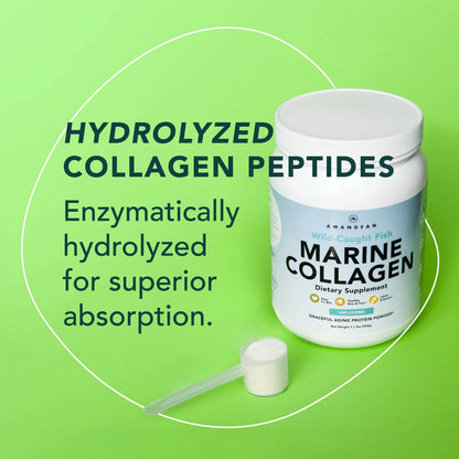 Premium Anti-Aging Marine Collagen Powder 17.6 Oz | Wild-Caught Hydrolyzed Fish Collagen Peptides | Type 1 &amp; 3 Collagen Protein Supplement | Amino Acids for Skin, Hair, Nails | Paleo Friendly, Non-Gmo