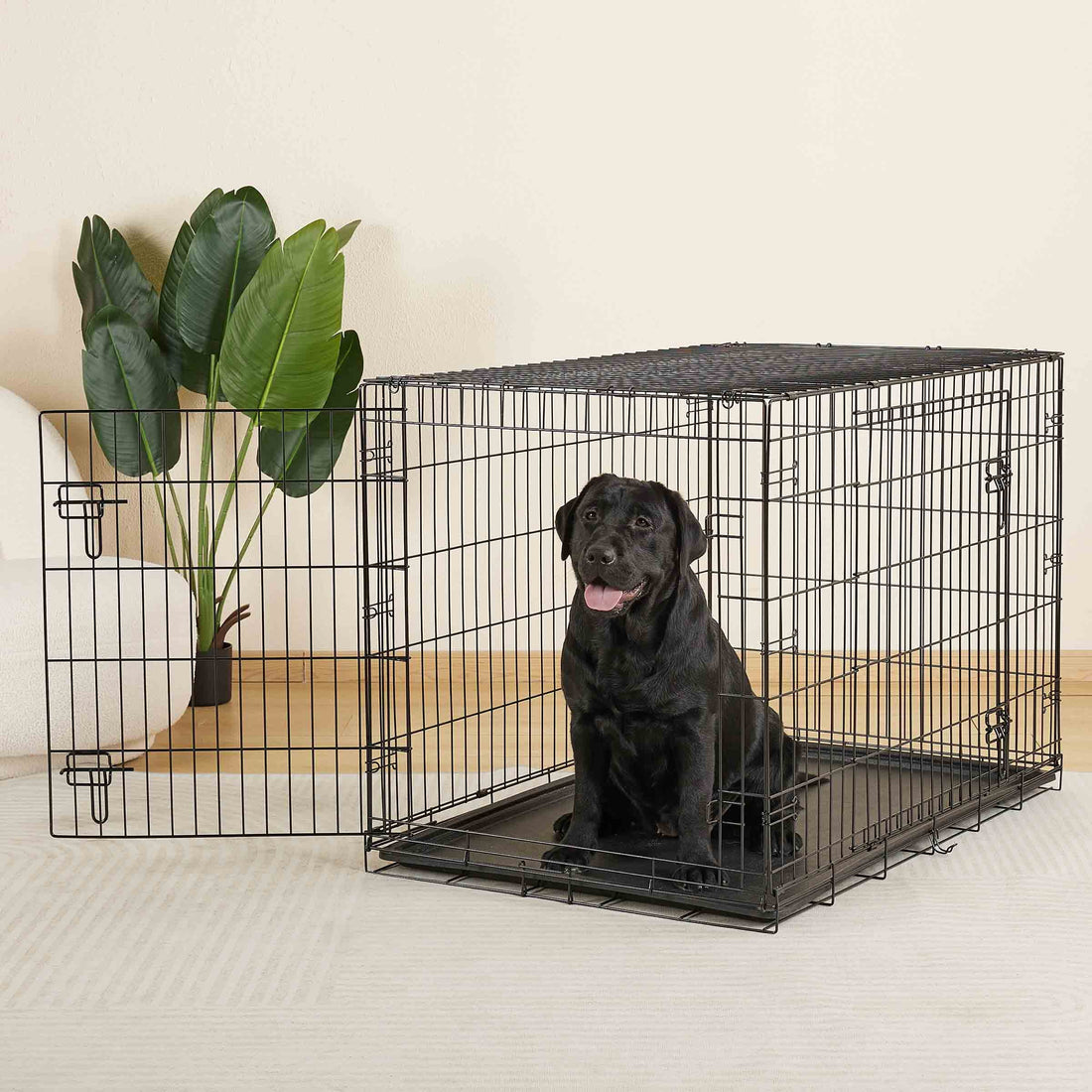 Vibrant Life Double Door Metal Wire 42&quot; Dog Crate, Leak-Proof Pan and Divider for Dogs Upto 90 Lb