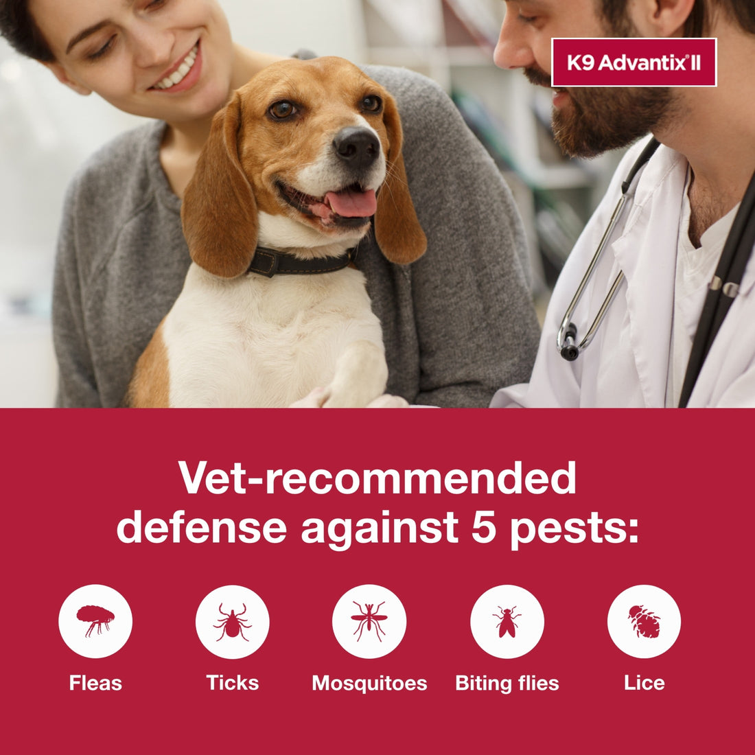 K9 Advantix II Monthly Flea &amp; Tick Prevention for Small Dogs 4-10 Lbs, 6-Monthly Treatment