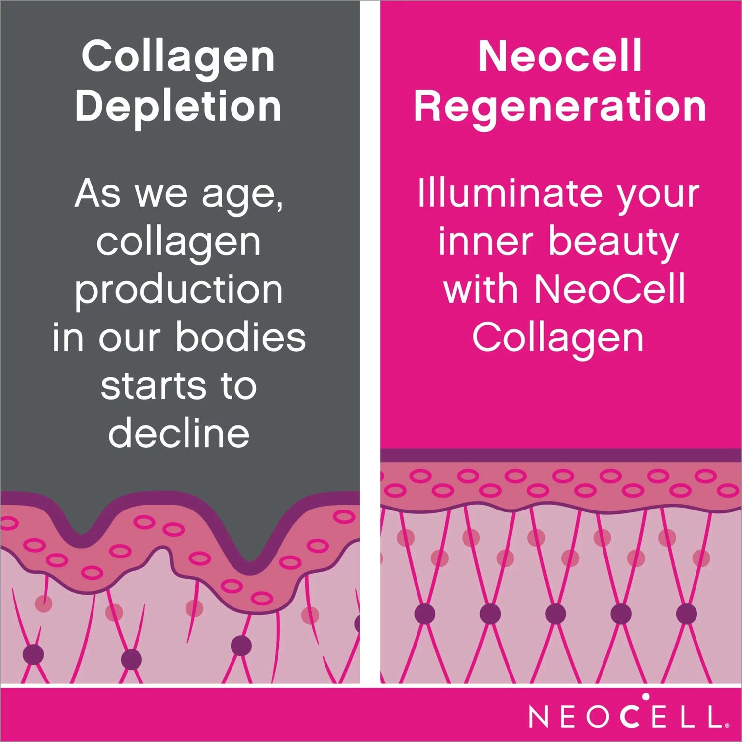 Neocell Super Collagen (Types 1 &amp; 3) + C Tablets, 250 Ct