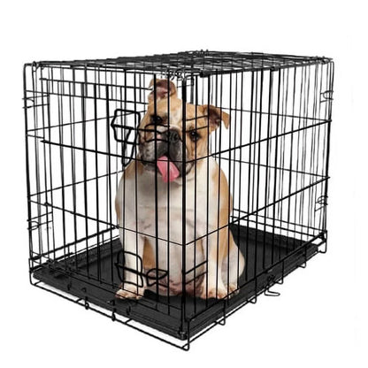 Vibrant Life Double Door Metal Wire 42&quot; Dog Crate, Leak-Proof Pan and Divider for Dogs Upto 90 Lb