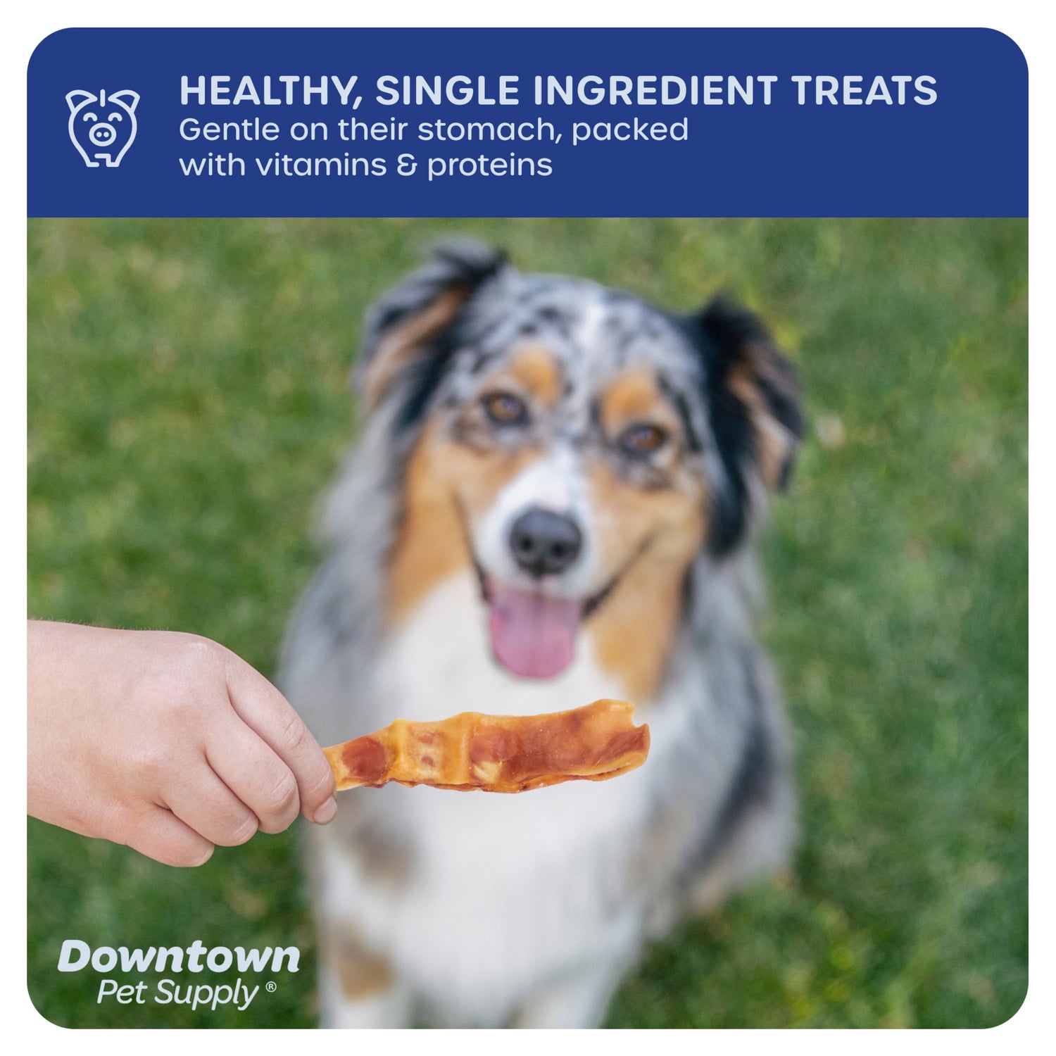 Downtown Pet Supply Pig Ears for Dogs, Long Lasting Pig Ear Strips 5Lb