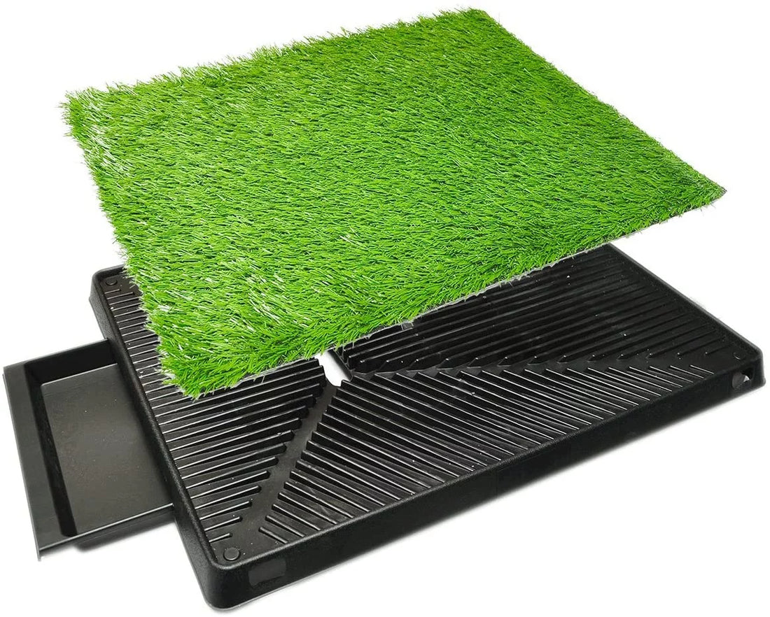 Downtown Pet Supply Grass Pad for Dogs, System W/ Drawer, 20 X 30&quot; Dog Pads